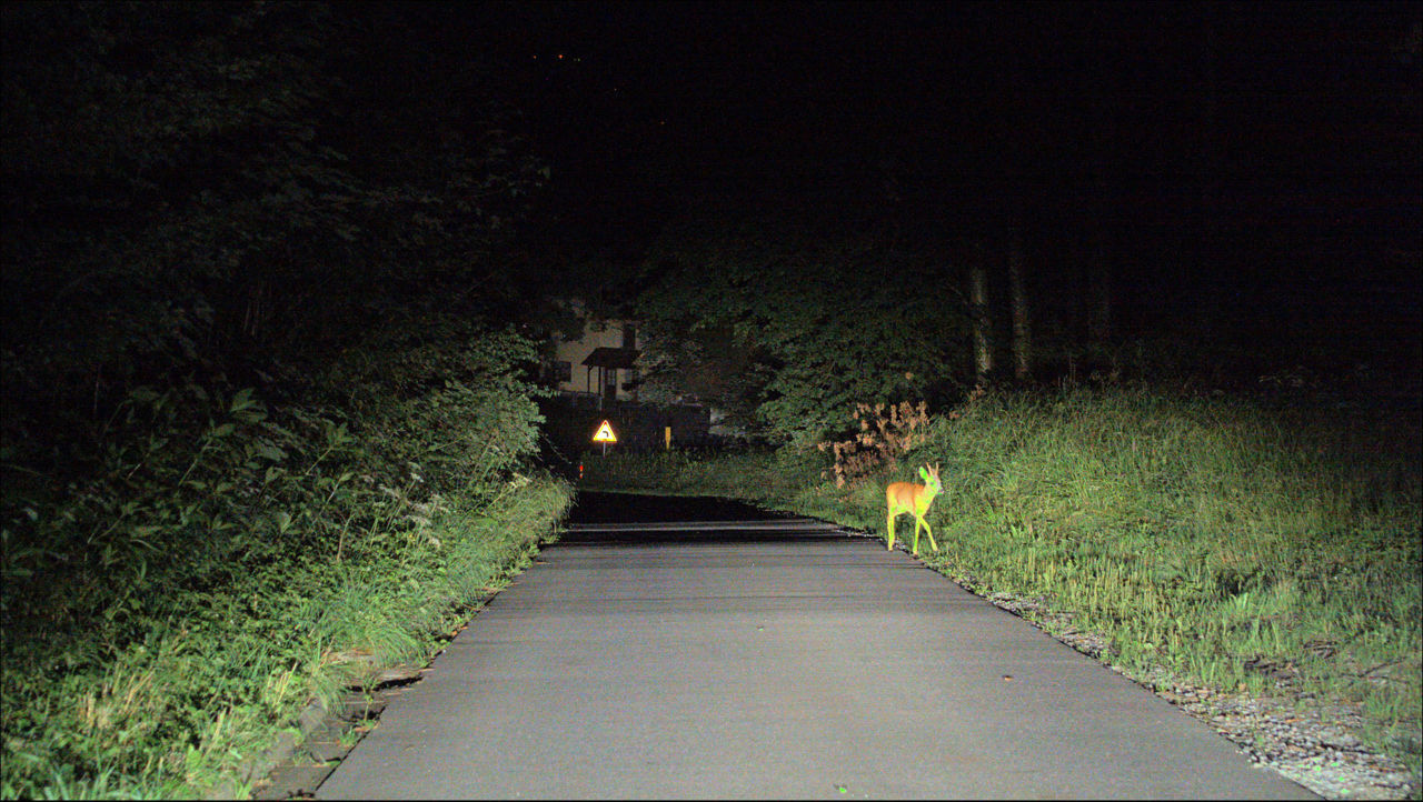 Traditional cameras often struggle with recognizing objects in low-light conditions, leading to potential delays in driver response. Night-capable cameras offer enhanced object detection and recognition capabilities.