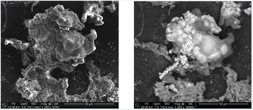 Side-by-side SEM images of a particle at 1250x magnification using secondary and backscattered electron detectors